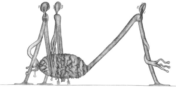 Das Kymgyt, Trimetazoum oder Dreibeiniger Stelzkopf